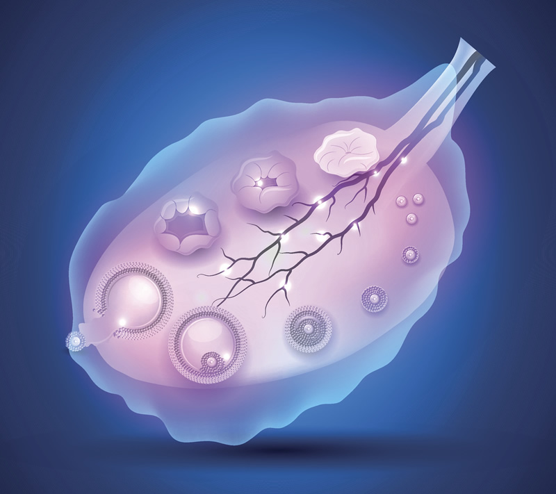 长沙三代试管婴儿十佳试管医院如何选_2025年新排名、对比、费用明细及选院避坑全指南